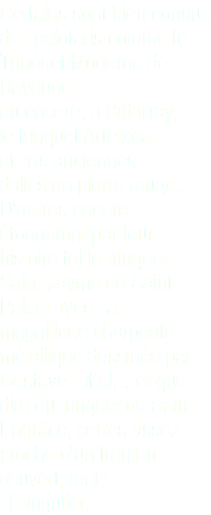 Certains sont bien connus des pelotaris comme le Trinquet Moderne de Bayonne ou encore, à Bidarray, le trinquet Artetxea et ses anciennes dalles en pierre rouge. D’autres encore étonneront par leur histoire tel le trinquet Saint-Jayme de Saint- Palais avec sa magnifique charpente métallique dessinée par Gustave Eiffel… et que dire du trinquet de Saint-Engrâce, certes assez proche d’un fronton couvert, mais si singulier.