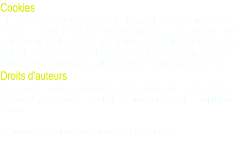 Cookies Afin de mieux répondre aux besoins de nos visiteurs des informations relatives au profil des visiteurs (résolution d’écran, type et version du navigateur utilisé, bande passante, fréquence des visites, etc), lors de la navigation sur le site peuvent être stockées par Google Analytics. Ces informations ne contiennent, toutefois, aucune information personnelle. Droits d'auteurs Les noms de marques ou produits et logos utilisés sur ce site sont des marques déposées ou des appellations commerciales de leur propriétaire respectif. © Photographies : tout droit de reproduction est interdit. 